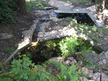 font del pardal0.1