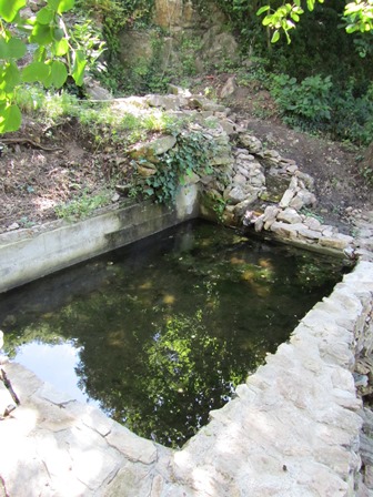 font del pardal 2