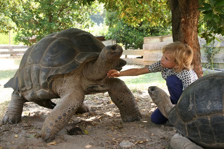 tortue parc 01